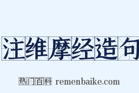 注维摩经造句是什么意思的图片